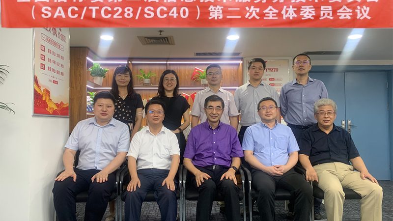 软件开发服务项目价格